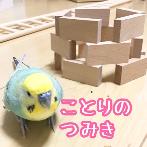 【新商品】ことりのつみき★インコや文鳥の小鳥のおもちゃ　バードトイ　フォージング　アスレチック　バードジム