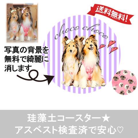 うちの子 珪藻土 コースター 名入れ 犬 猫 | 写真から作ります