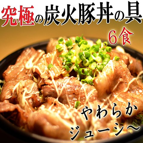 ⭐究極の炭火豚丼の具【ぎゃん丼】6食(1パック2食×3)【手作り無添加】