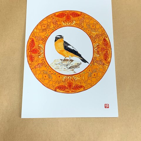 023. 小鳥イラスト　オレンジ 色鉛筆画  A4サイズ   little bird
