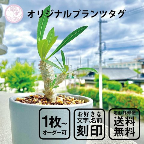 オリジナルプランツタグ　植物ネームプレート　