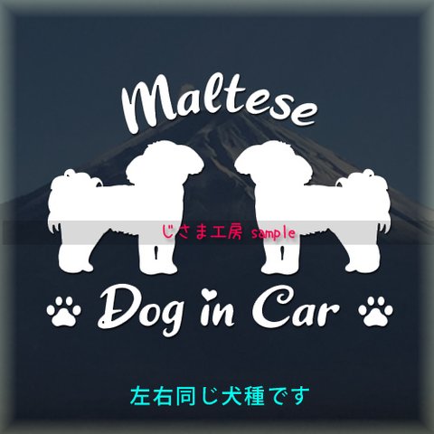 【同一犬種】　かわいい愛犬2頭飼い『DoginCar』シルエットステッカー（ご希望犬種）