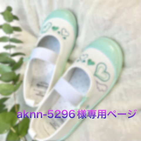 aknn-5296様専用ページ‎♪ 𓈒𓂃꙳⋆