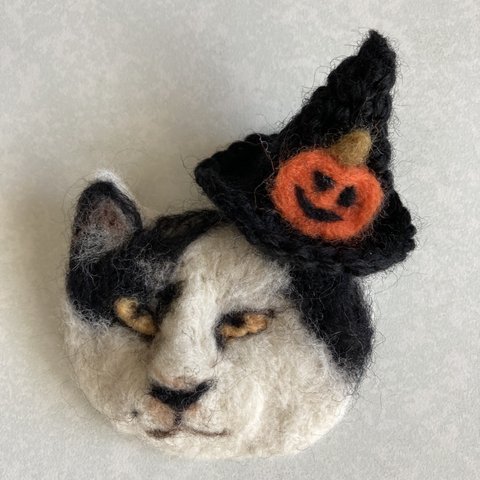 ワル猫だってハロウィン🎃