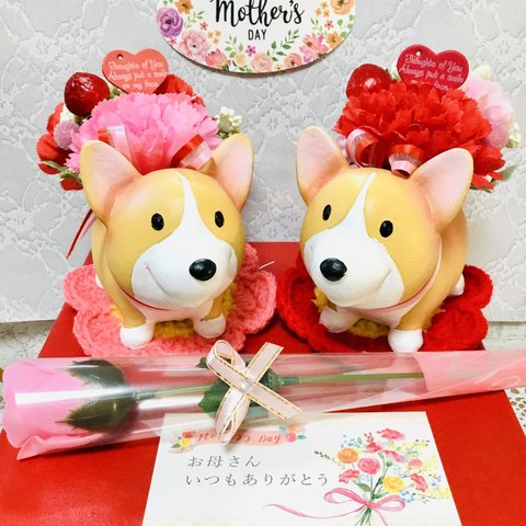 ソープローズフラワー💐お届けカーネコーギーちゃん🐶💕