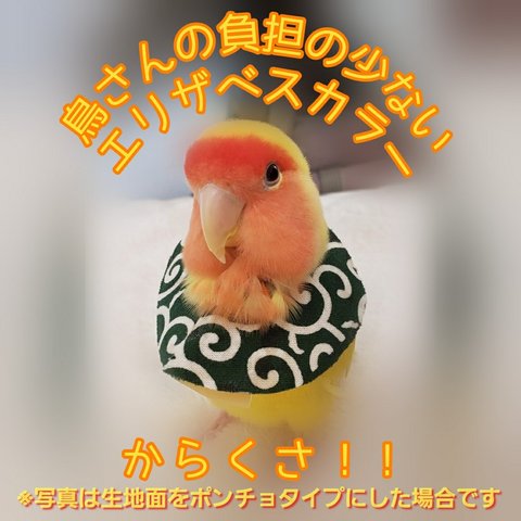 インコ エリザベスカラー(唐草模様)1枚・3サイズ・緑・赤・4g