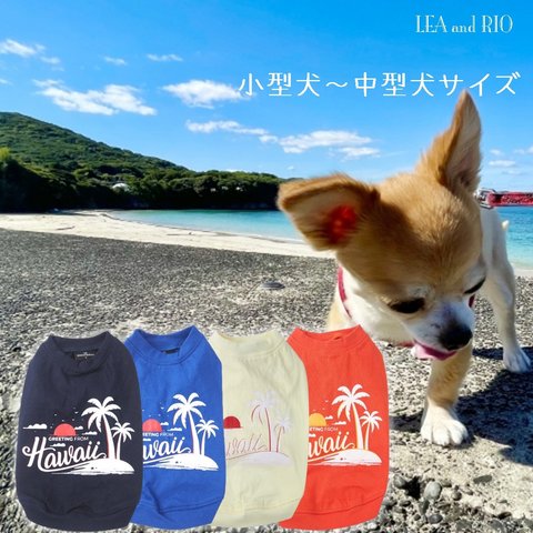 新作✧˖° トップス Tシャツ XS～XXLサイズ 極小犬 パピー 超小型犬 小型犬 犬 猫 ペット 服 犬服 猫服 犬の服 猫の服 可愛い オールシーズンDD162 DD163 DD164 D165