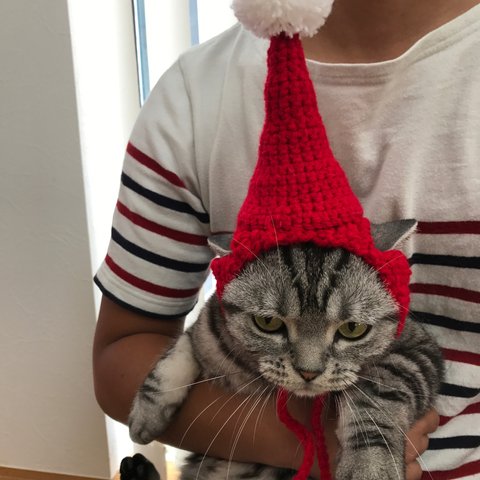 猫用*サンタ帽子