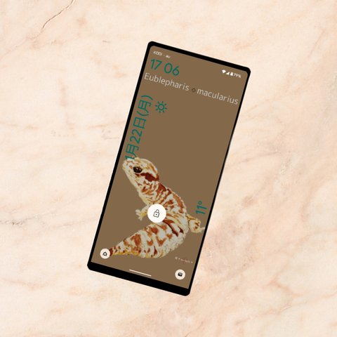 スマホ待ち受け DL ヒョウモントカゲモドキ (coffee)