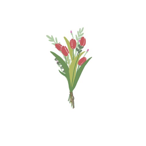 tulip (red)