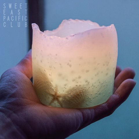 Shell Candle | シェルキャンドル