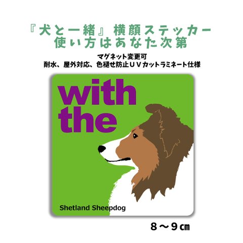 【再販1】シェットランドシープドッグ シェルティ横顔 犬ステッカー dogincar マグネット変更可車 玄関『犬と一緒』