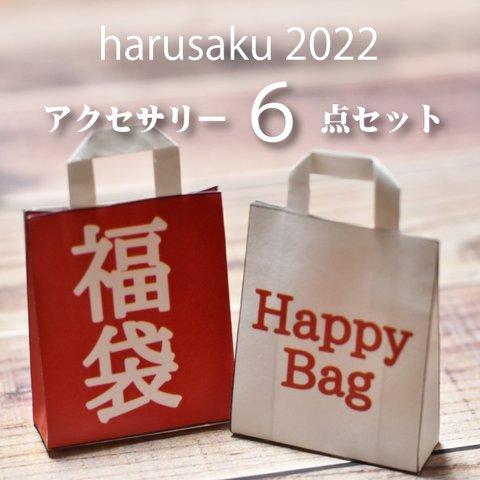 【数量限定 福袋】☆2022HAPPY BAG☆アクセサリー６点セット