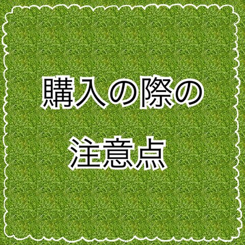 ⚠️【購入の際の注意点】⚠️