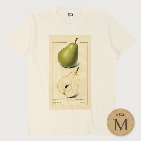 M〔T6962〕ラ・フランス／洋梨／La France【USDA Watercolor Collection】水彩画／ナチュラル／果物／フルーツ／S M L XL Tシャツ