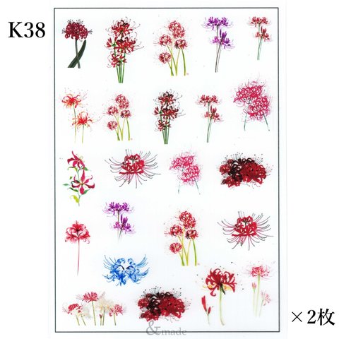 在庫限り【2枚】K38：彼岸花　レジン封入シート　カラー　フィルム　ボタニカル　植物　花