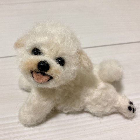羊毛フェルト　犬　トイプードル　ホワイト　子犬