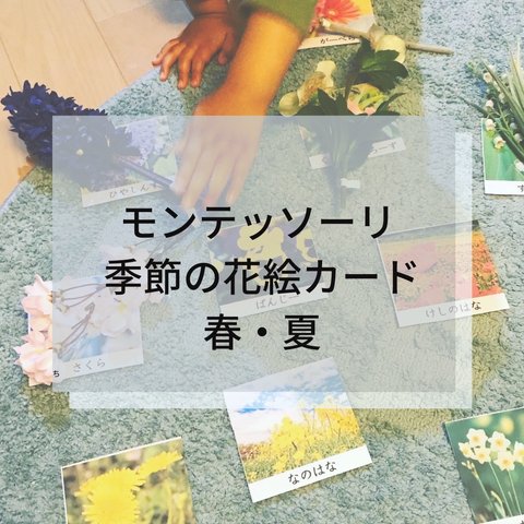 ☆モンテッソーリ☆季節の花  春夏 絵カード