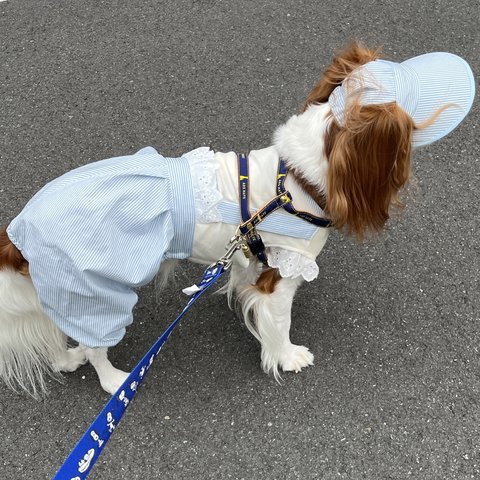 犬服オーバーオールロンパース　オフホワイト身頃　　ブルー&ホワイトストラップロンパース　新作💕