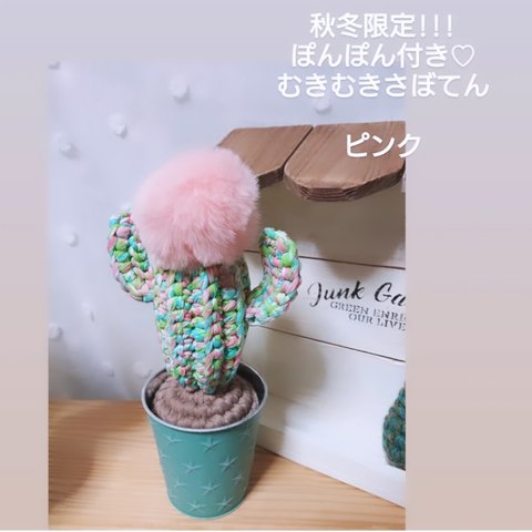 秋冬限定!!!むきむきさぼてん🌵ピンク