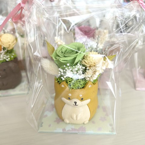 プリザーブドフラワー💐フラワーアレンジメント💐柴犬茶