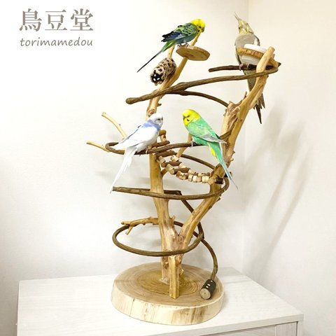 自然木（ツタ）のぐるぐるバードアスレチック【セキセイインコ・小桜インコ・オカメインコ】鳥まとり木・鳥おもちゃ