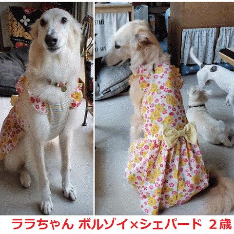 ワンピース オーダー 小型犬～中型犬～大型犬 ひまわり柄：白　肩にフリルが付いたキャミソール型