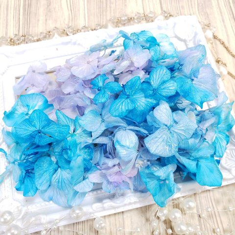 パープルブルー✨  アジサイ花材 ハーバリウム プリザーブドフラワー 小分け花材 ハンドメイド花材