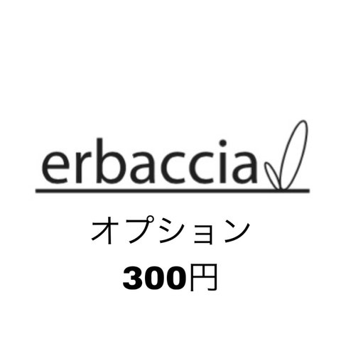 ★オプション300円★