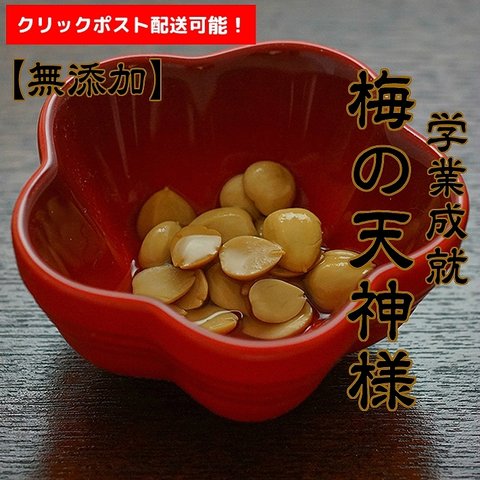 【送料185円で全国配送可能】 国産 無添加◆梅の天神さま 10g