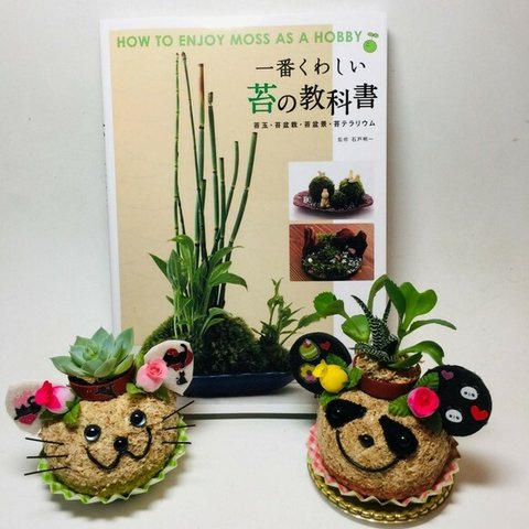 緑花星監修「一番くわしい苔の教科書」