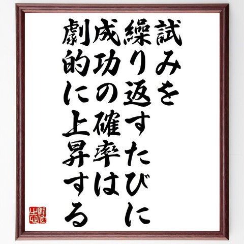 名言「試みを繰り返すたびに、成功の確率は劇的に上昇する」額付き書道色紙／受注後直筆（V1132）