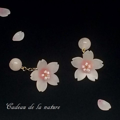 桜（ソメイヨシノ）のピアス