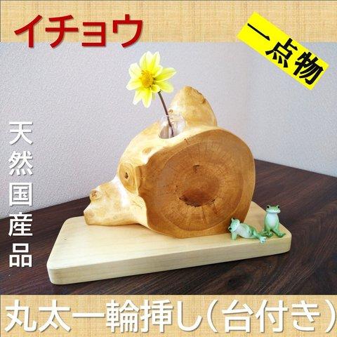 【イチョウの木】丸太一輪挿し　一点物　店舗什器