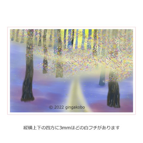 「光彩陸離」林　木　樹　ほっこり癒しのイラストポストカード2枚組No.003