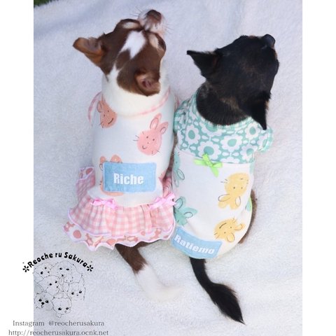 bunny🐰名入れ❣️チェックペアルック ギンガム パステルカラー 犬服 ドッグウェア わんこ服 サイズオーダー ハンドメイド うさぎ イースター 春夏秋冬 ガーリー かわいい 多頭飼い ワンピース