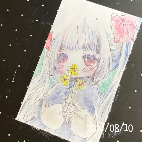 原画・(s)小さな花💐