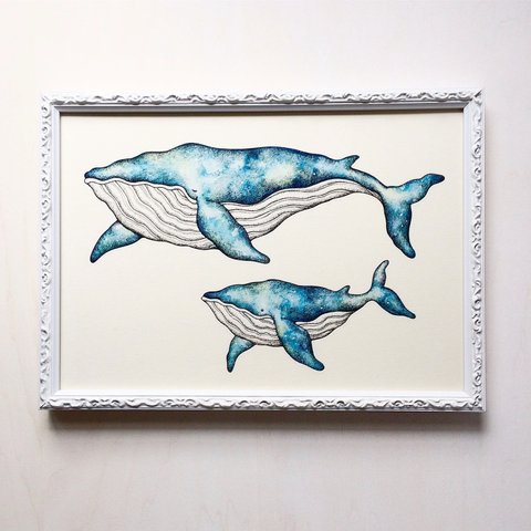 A4 クジラの親子 アートプリント/イラスト複製画