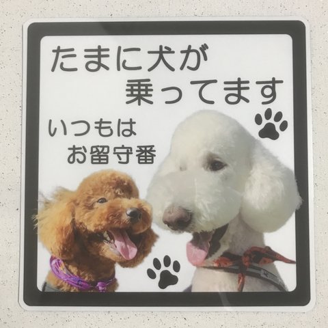 たまに犬が乗ってますステッカー(2匹用)