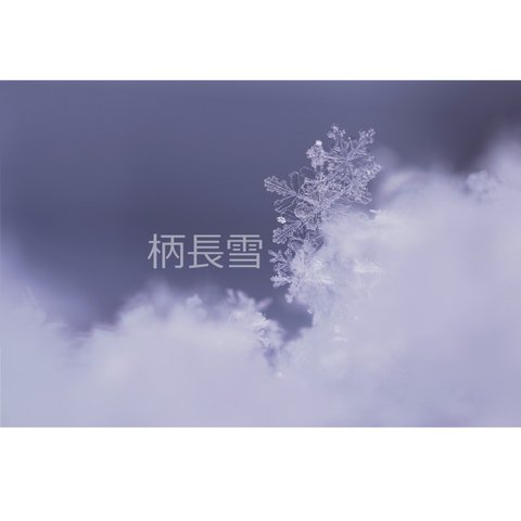 ＃１３０３ 雪の結晶の写真 ２Ｌサイズ（オプションでワイド六切サイズ） 