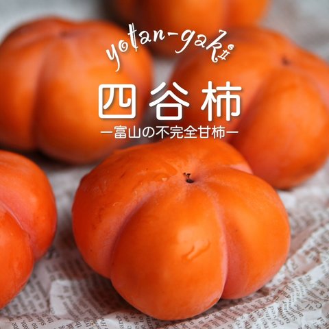 富山の四谷柿（よたんがき）　11月下旬発送