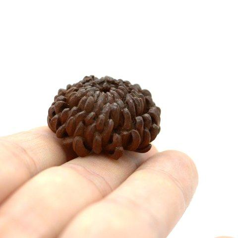 過去作　根付『菊』netsuke 『chrysanthemum』