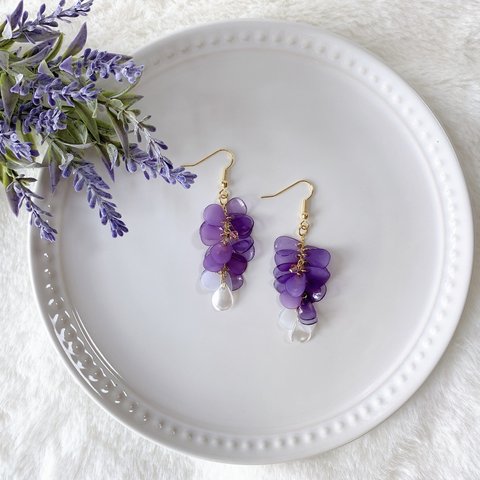 風薫る　ゆらゆら揺れる藤の花（紫）