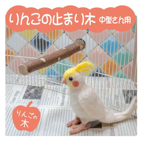 インコちゃんの✩.*˚りんごの止まり木　シンプルパーチ　中型さん向け