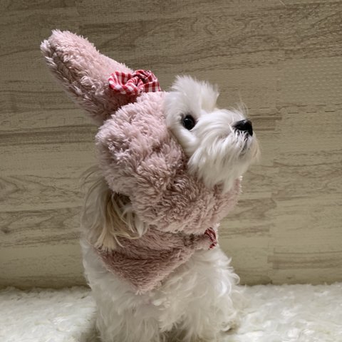 犬の　着ぐみたいなスヌード　うさぎさん🐰