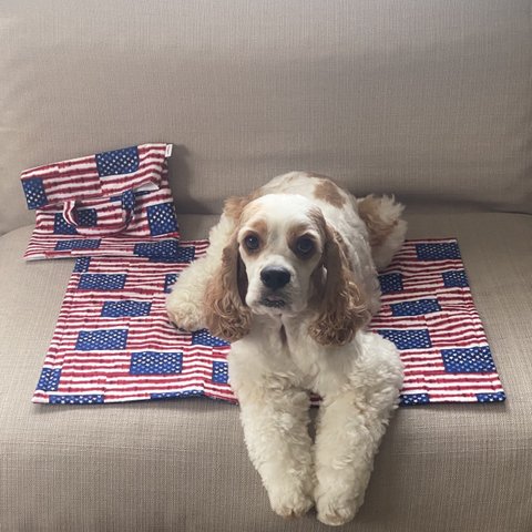 リバーシブルアメリカン×デニム　カフェマット　犬用マット　中サイズ