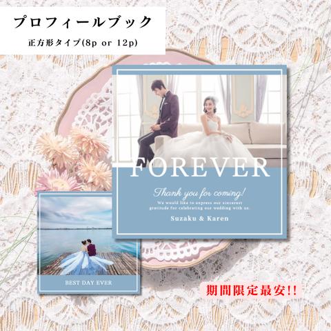 【最安値!! 正方形タイプ】プロフィールブック 席次表 結婚式<カラー変更可能・組み合わせ自由> PQ03　