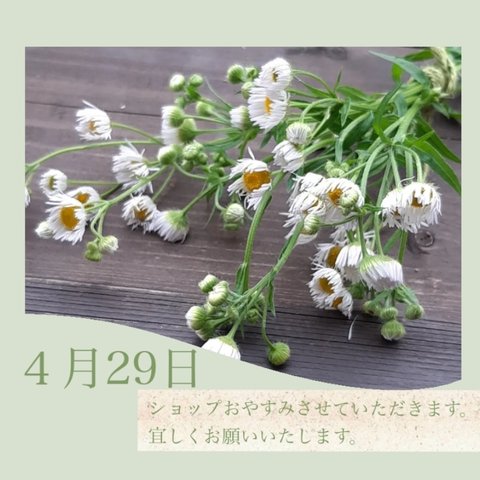 ４月２９日　ショップがおやすみになります。