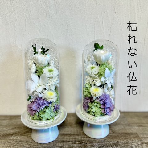 プリザーブドフラワー仏花 供花 ガラスカバー付き 花筒付き　ホワイト　菊　お供え　仏壇　お盆　初盆