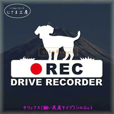 チワックス（細い尻尾）の白色シルエットステッカー‼後方注意‼『DRIVE　RECORDER』